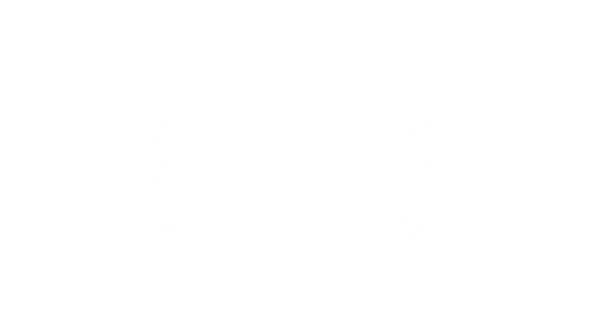 White Chevron Fan Lines Arrow Shape PNG - white chevron fan lines png, white chevron arrow shape png, chevron png
