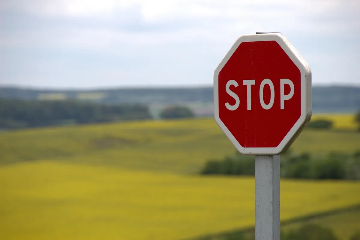 Stop Guessing What Your Audience Wants to Read